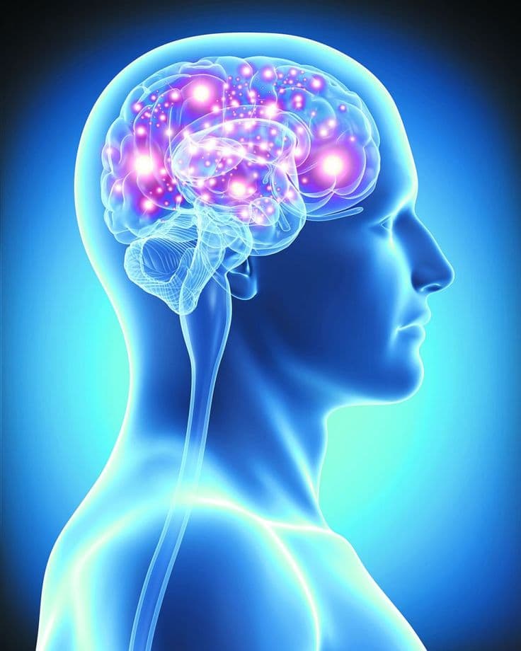 Visual for: Detecting and Validating the Emotions in Alzheimer’s Patients by Voice Analysis, Computer Vision and Deep Learning