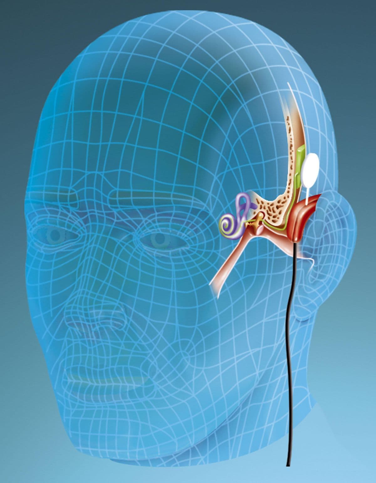 Visual for: Development of a Speech-to-Text Emotion and Speaker Recognition System for Individuals with Hearing Impairments